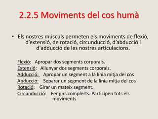 2.2.5 Moviments del cos humà
• Els nostres músculs permeten els moviments de flexió,
d’extensió, de rotació, circunducció, d’abducció i
d'adducció de les nostres articulacions.
Flexió: Apropar dos segments corporals.
Extensió: Allunyar dos segments corporals.
Adducció: Apropar un segment a la línia mitja del cos
Abducció: Separar un segment de la línia mitja del cos
Rotació: Girar un mateix segment.
Circunducció: Fer girs complerts. Participen tots els
moviments
 