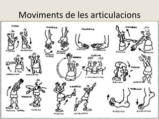 Moviments de les articulacions
 