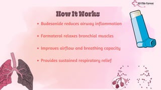 Foracort Inhaler 6/400 mcg: Maintenance Therapy Guide for Asthma and ...