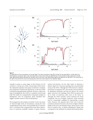 http://jbiol.com/content/8/6/59                                                         Journal of Biology 2009,     Volume 8, Article 59          Puigbò et al. 59.11




                                                (b)
                                                           1.0                                                                    10


                                                           0.8                                                                    8


                                                           0.6                                                                    6
         (a)




                                                                                                                                       Z
                                                      IS
                                                           0.4                                                                    4
                              1
                                                           0.2                                                                    2     P < 0.05

                                  2
                                      1                    0.0                                                                    0
                          1                                      1                 16                 31                  46

                                                                                         Split depth
                              2

                                                (c)
                                                           1.0                                                                    10
                      1           1

                                                           0.8                                                                    8


                                                           0.6                                                                    6
                                                      IS




                                                                                                                                       Z
                                                           0.4                                                                    4


                                                           0.2                                                                    2      P < 0.05


                                                           0.0                                                                    0
                                                                 1                 16                 31                  46

                                                                                         Split depth

Figure 9
The dependence of tree inconsistency on the split depth. The mean inconsistency value (IS) is shown for each split depth (1 to 46), which was
determined by counting the splits in the trees from leaves to the center of the tree. (a) Schematic of the procedure used to determine the split
depth. (b) IS plotted against split depth for all 6,901 trees of the forest of life. (c) IS plotted against split depth for the 102 NUTs. The vertical axis on
the right in (b,c) shows the z-score, and the grey bars show the z-score values for the respective depths.



virtually no genes at some stages in their history [15,16]                        archaea and bacteria. On the other hand, we detected a
overthrow a ‘strong’ tree of life concept under which all (or                     distinct signal of a consensus topology that was particularly
the substantial majority) of the genes would tell a consistent                    strong in the NUTs. Although the NUTs showed a substan-
story of genome evolution (the species tree, or the tree of life)                 tial amount of apparent HGT, the transfer events seemed to
if analyzed using appropriate methods. However, is there any                      be distributed randomly and did not obscure the vertical
hope of salvaging the tree of life as a statistical central trend                 signal. Moreover, the topology of the NUTs was quite simi-
[28]? The results of a comprehensive comparative analysis of                      lar to those of numerous other trees in the forest, so
phylogenetic trees for prokaryotic genes described here                           although the NUTs certainly cannot represent the forest
suggest a positive answer to this crucial question.                               completely, this set of largely consistent, nearly universal
                                                                                  trees is a reasonable candidate for representing a central
The message from this analysis is twofold. On the one hand,                       trend. However, the opposite side of the coin is that the
we detected high levels of inconsistency among the trees                          consistency between the trees in the forest is high at shallow
comprising the forest of life, most probably due to extensive                     depths of the trees and abruptly drops, almost down to the
HGT, a conclusion that is supported by more direct observa-                       level of random trees, at greater phylogenetic depths that
tions of numerous probable transfers of genes between                             correspond to the radiation of archaeal and bacterial phyla.

                                                                 Journal of Biology 2009, 8:59
 