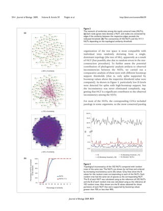 59.4 Journal of Biology 2009,                                Volume 8, Article 59                    Puigbò et al.                                                                                                                                                                                                                                                                                                                    http://jbiol.com/content/8/6/59




                                                                                                                               Figure 2
                                                                                                                               The network of similarities among the nearly universal trees (NUTs).
             (a)                                                                                                               (a) Each node (green dot) denotes a NUT, and nodes are connected by
                                                                                                                               edges if the similarity between the respective edges exceeds the
                                                                                                                               indicated threshold. (b) The connectivity of 102 NUTs and the 14 1:1
                                                                                                                               NUTs depending on the topological similarity threshold.



                                                                                                                               organization of the tree space is most compatible with
                                                                                                                               individual trees randomly deviating from a single,
                                                                                                                               dominant topology (the tree of life), apparently as a result
                                                                                                                               of HGT (but possibly also due to random errors in the tree-
                                                                                                                               construction procedure). To further assess the potential
                                                                                                                               contribution of phylogenetic analysis artifacts to observed
                                                             ≥ 80% of similarity
                                                                                                                               inconsistencies between the NUTs, we carried out a
                                                                                                                               comparative analysis of these trees with different bootstrap
                                                                                                                               support thresholds (that is, only splits supported by
                                                                                                                               bootstrap values above the respective threshold value were
                                                                                                                               compared). As shown in Figure 3, particularly low IS levels
                                                                                                                               were detected for splits with high-bootstrap support, but
                                                                                                                               the inconsistency was never eliminated completely, sug-
                                                                                                                               gesting that HGT is a significant contributor to the observed
                                                                                                                               inconsistency among the NUTs.

                                                                                                                               For most of the NUTs, the corresponding COGs included
                                                                                                                               paralogs in some organisms, so the most conserved paralog

                                                             ≥ 75% of similarity
                                                                                                                                 100.0%


                                                                                                                                     90.0%


                                                                                                                                     80.0%


                                                                                                                                     70.0%
                                                                                                                                IS




                                                                                                                                     5.0%




                                                                                                                                     2.5%




                                                                                                                                     0.0%
                                                                                                                                                                                                                                                                               COG0090




                                                                                                                                                                                                                                                                                                                                                                                                                                               COG0195




                                                                                                                                                                                                                                                                                                                                                                                                                                                                                                                                                                                                               COG0528
                                                                                                                                             COG0006
                                                                                                                                                       COG0009
                                                                                                                                                                 COG0013
                                                                                                                                                                           COG0018
                                                                                                                                                                                     COG0024
                                                                                                                                                                                               COG0037
                                                                                                                                                                                                         COG0049
                                                                                                                                                                                                                   COG0052
                                                                                                                                                                                                                             COG0060
                                                                                                                                                                                                                                       COG0071
                                                                                                                                                                                                                                                 COG0081
                                                                                                                                                                                                                                                           COG0086
                                                                                                                                                                                                                                                                     COG0088


                                                                                                                                                                                                                                                                                         COG0092
                                                                                                                                                                                                                                                                                                   COG0094
                                                                                                                                                                                                                                                                                                             COG0097
                                                                                                                                                                                                                                                                                                                       COG0099
                                                                                                                                                                                                                                                                                                                                 COG0102
                                                                                                                                                                                                                                                                                                                                           COG0105
                                                                                                                                                                                                                                                                                                                                                     COG0124
                                                                                                                                                                                                                                                                                                                                                               COG0126
                                                                                                                                                                                                                                                                                                                                                                         COG0130
                                                                                                                                                                                                                                                                                                                                                                                   COG0142
                                                                                                                                                                                                                                                                                                                                                                                             COG0148
                                                                                                                                                                                                                                                                                                                                                                                                       COG0164
                                                                                                                                                                                                                                                                                                                                                                                                                 COG0171
                                                                                                                                                                                                                                                                                                                                                                                                                           COG0177
                                                                                                                                                                                                                                                                                                                                                                                                                                     COG0185


                                                                                                                                                                                                                                                                                                                                                                                                                                                         COG0198
                                                                                                                                                                                                                                                                                                                                                                                                                                                                   COG0201
                                                                                                                                                                                                                                                                                                                                                                                                                                                                             COG0231
                                                                                                                                                                                                                                                                                                                                                                                                                                                                                       COG0244
                                                                                                                                                                                                                                                                                                                                                                                                                                                                                                 COG0256
                                                                                                                                                                                                                                                                                                                                                                                                                                                                                                           COG0329
                                                                                                                                                                                                                                                                                                                                                                                                                                                                                                                     COG0358
                                                                                                                                                                                                                                                                                                                                                                                                                                                                                                                               COG0441
                                                                                                                                                                                                                                                                                                                                                                                                                                                                                                                                         COG0452
                                                                                                                                                                                                                                                                                                                                                                                                                                                                                                                                                   COG0459
                                                                                                                                                                                                                                                                                                                                                                                                                                                                                                                                                             COG0462
                                                                                                                                                                                                                                                                                                                                                                                                                                                                                                                                                                       COG0480
                                                                                                                                                                                                                                                                                                                                                                                                                                                                                                                                                                                 COG0495
                                                                                                                                                                                                                                                                                                                                                                                                                                                                                                                                                                                           COG0519
                                                                                                                                                                                                                                                                                                                                                                                                                                                                                                                                                                                                     COG0525


                                                                                                                                                                                                                                                                                                                                                                                                                                                                                                                                                                                                                         COG0537
                                                                                                                                                                                                                                                                                                                                                                                                                                                                                                                                                                                                                                   COG0541
                                                                                                                                                                                                                                                                                                                                                                                                                                                                                                                                                                                                                                             COG0621
                                                                                                                                                                                                                                                                                                                                                                                                                                                                                                                                                                                                                                                       COG1080
                                                                                                                                                                                                                                                                                                                                                                                                                                                                                                                                                                                                                                                                 COG2812




                                                             ≥ 50% of similarity
                                                                                                                                                                                                            IS                                                                                                                                                                                                                                      IS (Bootstrap threshold ≥ 70)
                                                                                                                                                                                                            IS (Bootstrap threshold ≥ 90)                                                                                                                                                                                                           IS (Random ‘NUTs’)
             (b)                                   100%
                    Percentage of NUTs connected




                                                   80%
                                                                                                                               Figure 3
                           to the network




                                                                                                                               Topological inconsistency of the 102 NUTs compared with random
                                                   60%
                                                                                                                               trees of the same size. The NUTs are shown by red lines and ordered
                                                                                                                               by increasing inconsistency score (IS) values. Grey lines show the IS
                                                   40%
                                                                                                                               values for the random trees corresponding to each of the NUTs. Each
                                                                                             NUTs                              random tree had the same set of species as the corresponding NUT.
                                                   20%
                                                                                             NUTs (1:1)                        The IS of each NUT was calculated using as the reference all 102 NUTs
                                                    0%
                                                                                                                               and the IS of each random tree was calculated using as the reference all
                                                          100 90   80   70   60    50   40    30    20   10    0               102 random trees. Also shown are the IS values obtained for those
                                                                    Percentage of similarity                                   partitions of each NUT that were supported by bootstrap values
                                                                                                                               greater than 70% or less than 90%.



                                                                                                              Journal of Biology 2009, 8:59
 