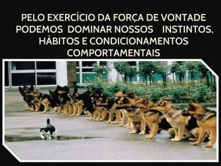 PELO EXERCÍCIO DA FORÇA DE VONTADE
PODEMOS DOMINAR NOSSOS INSTINTOS,
HÁBITOS E CONDICIONAMENTOS
COMPORTAMENTAIS
PENSAMENTO FORÇA DE VONTADE
 
