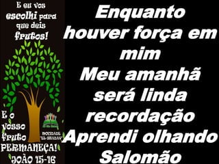 Enquanto
houver força em
mim
Meu amanhã
será linda
recordação
Aprendi olhando
Salomão
 