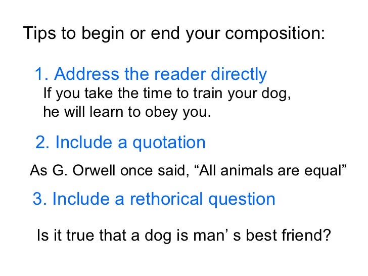 Essay On Dog Is Man S Best Friend Essay On Dog Is Man S Best Friend