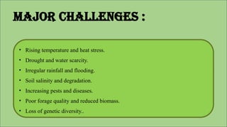 • Rising temperature and heat stress.
• Drought and water scarcity.
• Irregular rainfall and flooding.
• Soil salinity and degradation.
• Increasing pests and diseases.
• Poor forage quality and reduced biomass.
• Loss of genetic diversity..
Major challenges :
 