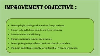 • Develop high-yielding and nutritious forage varieties.
• Improve drought, heat, salinity and flood tolerance.
• Increase water-use efficiency.
• Improve resistance to pests and diseases.
• Develop forage crops adapted to future climatic conditions.
• Maintain stable forage supply for sustainable livestock production.
Improvement objective :
 