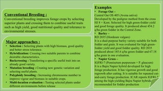 Conventional Breeding :
Conventional breeding improves forage crops by selecting
superior plants and crossing them to combine useful traits
such as high yield, good nutritional quality and tolerance to
environmental stresses.
Major approaches :
• Selection : Selecting plants with high biomass, good quality
and better stress tolerance.
• Hybridization: Crossing two suitable parents to combine
desirable characteristics.
• Backcrossing : Transferring a specific useful trait into an
already good variety.
• Mutation breeding : Creating new genetic variation and
selecting useful plants.
• Polyploidy breeding : Increasing chromosome number to
improve vigour and biomass in suitable crops.
• Multi-location evaluation : Testing selected plants under
different environments before release
Examples
• Forage Oat –
Central Oat OS 405 (Avena sativa)
Developed by the pedigree method from the cross
HJ 8 × Kent. Selected for high green-fodder yield
and good forage quality. It produced about 454.2
q/ha green fodder in the Central Zone.
• Barley –
RD 2035 (Hordeum vulgare)
It is a dual-purpose barley variety suitable for both
fodder and grain. It was evaluated for high green-
fodder yield and good fodder quality. RD 2035
produced about 185.6 q/ha green fodder and 67.18
q/ha grain in one evaluation.
• Napier Grass –
IGFRI-7 (Pennisetum purpureum × P. glaucum)
It is a Bajra Napier hybrid developed for high
forage production. It has vigorous growth and good
regrowth after cutting. It is suitable for repeated cut-
and-carry forage production. ICAR reports IGFRI-7
among the high-yielding Bajra Napier hybrids
recommended for fodder production
 