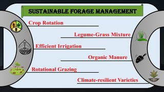 Crop Rotation
Organic Manure
Efficient Irrigation
Legume-Grass Mixture
Rotational Grazing
Climate-resilient Varieties
Sustainable Forage Management
 