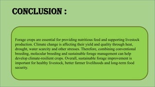 Forage crops are essential for providing nutritious feed and supporting livestock
production. Climate change is affecting their yield and quality through heat,
drought, water scarcity and other stresses. Therefore, combining conventional
breeding, molecular breeding and sustainable forage management can help
develop climate-resilient crops. Overall, sustainable forage improvement is
important for healthy livestock, better farmer livelihoods and long-term food
security.
Conclusion :
 