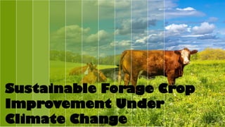 Sustainable Forage Crop
Improvement Under
Climate Change
 