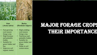 Oats
(Avena sativa)
Barley
(Hordeum vulgare)
Maize
(Zea mays)
Napier grass
(Pennisetum
purpureum)
Berseem
(Trifolium
alexandrium)
Lucerne
(Medicago sativa)
• Fast-growing
cool-season
forage crop.
• High biomass
and palatable
fodder.
• Suitable for
green fodder and
hay.
• Improves soil
organic matter.
• High-yielding
cool-season
forage crop.
• Nutritious and
palatable fodder.
• Suitable for
green fodder and
silage.
• Helps in soil
conservation.
• High biomass
and energy
yield.
• Excellent crop
for silage
production.
• Highly palatable
and nutritious.
• Improves animal
productivity.
• Perennial and
very high-
yielding forage
crop.
• Highly palatable
and nutritious.
• Suitable for cut-
and-carry
system.
Performs well in
tropical
conditions.
• High protein and
digestible
fodder.
• Improves soil
fertility through
nitrogen
fixation.
• Grows well in
cool season.
• Enhances milk
production
• Highest protein
and calcium
content.
• Deep-rooted crop
that improves soil
structure.
• Drought tolerant
and long-duration
forage crop.
• Increases milk and
meat production
Major Forage Crops
Their Importance
 