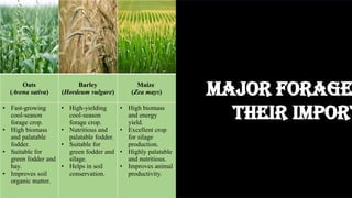 Oats
(Avena sativa)
Barley
(Hordeum vulgare)
Maize
(Zea mays)
Napier grass
(Pennisetum
purpureum)
Berseem
(Trifolium
alexandrium)
Lucerne
(Medicago sativa)
• Fast-growing
cool-season
forage crop.
• High biomass
and palatable
fodder.
• Suitable for
green fodder and
hay.
• Improves soil
organic matter.
• High-yielding
cool-season
forage crop.
• Nutritious and
palatable fodder.
• Suitable for
green fodder and
silage.
• Helps in soil
conservation.
• High biomass
and energy
yield.
• Excellent crop
for silage
production.
• Highly palatable
and nutritious.
• Improves animal
productivity.
• Perennial and
very high-
yielding forage
crop.
• Highly palatable
and nutritious.
• Suitable for cut-
and-carry
system.
Performs well in
tropical
conditions.
• High protein and
digestible
fodder.
• Improves soil
fertility through
nitrogen
fixation.
• Grows well in
cool season.
• Enhances milk
production
• Highest protein
and calcium
content.
• Deep-rooted crop
that improves soil
structure.
• Drought tolerant
and long-duration
forage crop.
• Increases milk and
meat production
Major Forage
Their Import
 