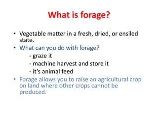 What is forage?
• Vegetable matter in a fresh, dried, or ensiled
state.
• What can you do with forage?
- graze it
- machin...