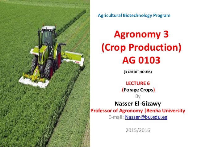 forage crops forage crops