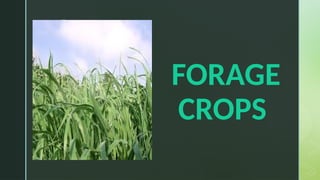 Forage Sign In FORAGE vxgnhsdjhtrasujk,jojdesyhgtsrttpptx | PPTX