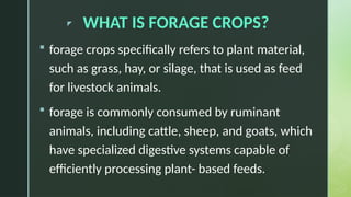 FORAGE vxgnhsdjhtrasujk,jojdesyhgtsrttpptx | PPTX