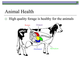 Animal Health
 High quality forage is healthy for the animals
 