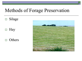 Methods of Forage Preservation
 Silage
 Hay
 Others
 