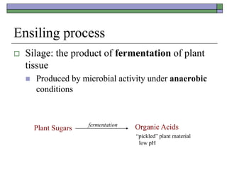 Ensiling process
 Silage: the product of fermentation of plant
tissue
 Produced by microbial activity under anaerobic
conditions
Plant Sugars
fermentation Organic Acids
“pickled” plant material
low pH
 