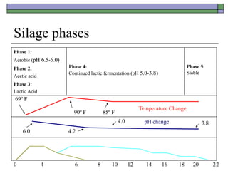Silage phases
Phase 1:
Aerobic (pH 6.5-6.0)
Phase 4:
Continued lactic fermentation (pH 5.0-3.8)
Phase 5:
Stable
Phase 2:
Acetic acid
Phase 3:
Lactic Acid
69º F
90º F 85º F
Temperature Change
6.0 4.2
4.0 3.8
pH change
0 4 6 8 10 12 14 16 18 20 22
 
