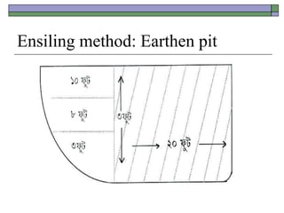 Ensiling method: Earthen pit
 