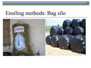Ensiling methods: Bag silo
 