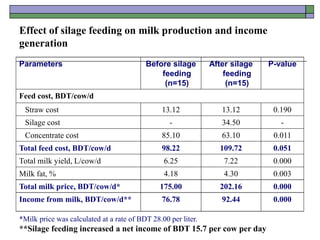 Effect of silage feeding on milk production and income
generation
*Milk price was calculated at a rate of BDT 28.00 per liter.
**Silage feeding increased a net income of BDT 15.7 per cow per day
Parameters Before silage
feeding
(n=15)
After silage
feeding
(n=15)
P-value
Feed cost, BDT/cow/d
Straw cost 13.12 13.12 0.190
Silage cost - 34.50 -
Concentrate cost 85.10 63.10 0.011
Total feed cost, BDT/cow/d 98.22 109.72 0.051
Total milk yield, L/cow/d 6.25 7.22 0.000
Milk fat, % 4.18 4.30 0.003
Total milk price, BDT/cow/d* 175.00 202.16 0.000
Income from milk, BDT/cow/d** 76.78 92.44 0.000
 