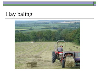 Hay baling
 