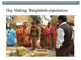 Hay Making: Bangladesh experiences
 