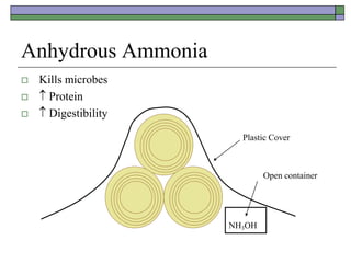 Anhydrous Ammonia
 Kills microbes
  Protein
  Digestibility
NH3OH
Plastic Cover
Open container
 