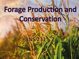 Forage production and conservation 1
 