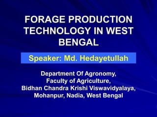 FORAGE PRODUCTION
TECHNOLOGY IN WEST
     BENGAL
  Speaker: Md. Hedayetullah
      Department Of Agronomy,
        Faculty of Agriculture,
Bidhan Chandra Krishi Viswavidyalaya,
    Mohanpur, Nadia, West Bengal
 