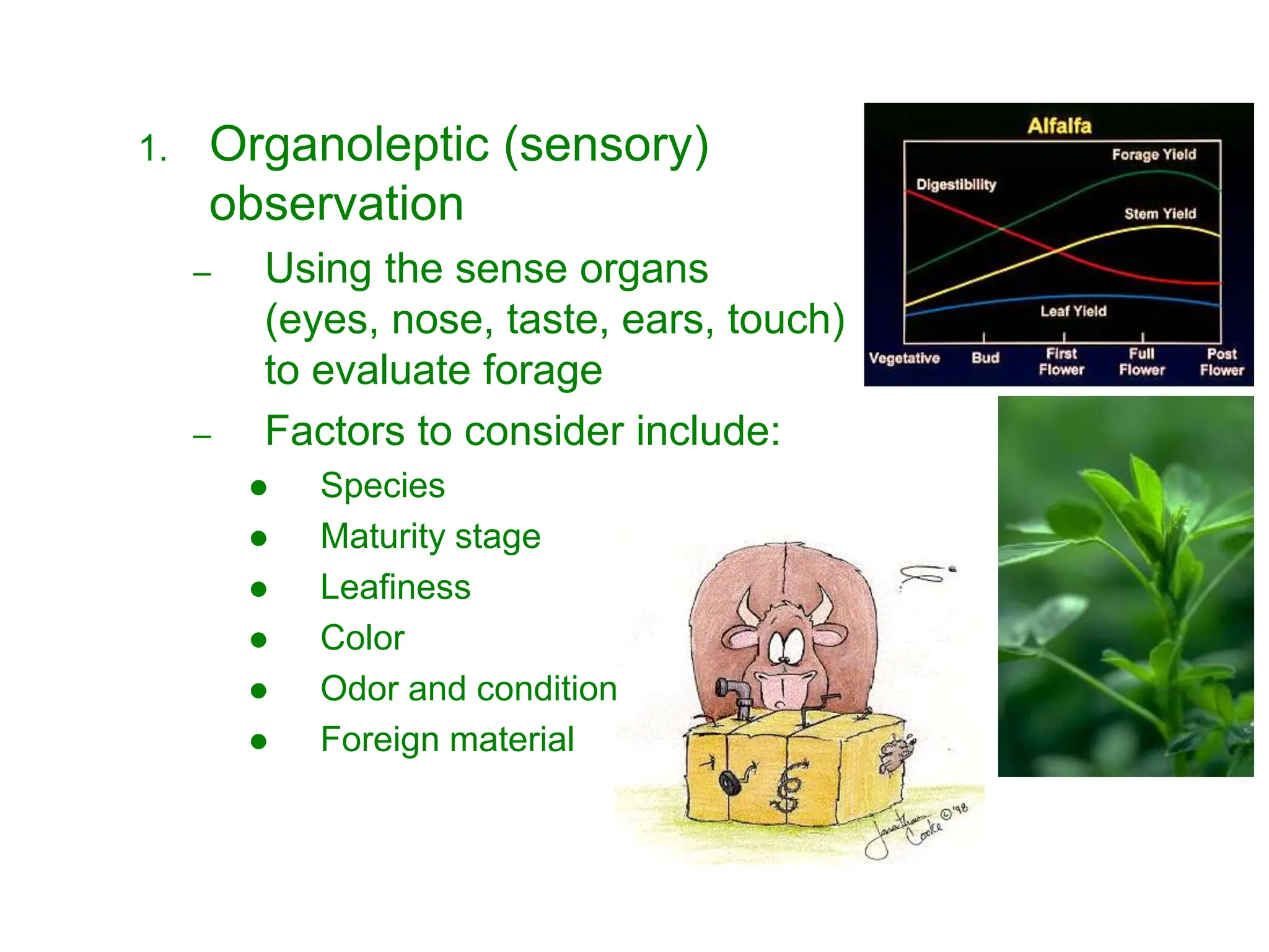 Sense Foraging Forage quality ppt.pptx