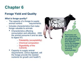 Chapter 6
Forage Yield and Quality
What is forage quality?
– The capacity of a forage to supply
animal nutrient requirements.
– Includes characteristics that make
forage valuable to animals
• Characteristics affecting
consumption and utilization. (Will
the animal consume it and be able
to digest it?)
– Palatability (acceptability)
– Chemical composition
– Digestibility of the
nutrients
• Capacity to supply animal
requirements. (Once digested, will
the forage provide the needed
nutrients for growth and health?)
Ruminants and
other herbivores
can utilize high-fiber
feedstuffs because
their digestive
tracts are inhabited
by microbes that
can break down
structural
carbohydrates.
 