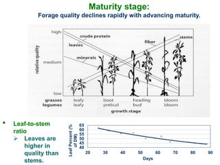 Forage Development Forage quality ppt.pptx