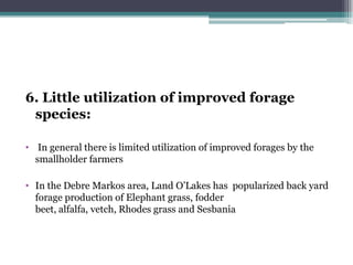 Practices of feeding dairy animals by SNV Client farmers and some recommendations for promising technologies