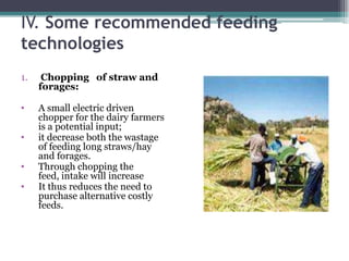 Practices of feeding dairy animals by SNV Client farmers and some recommendations for promising technologies