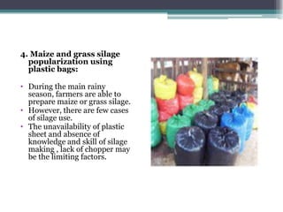 Practices of feeding dairy animals by SNV Client farmers and some recommendations for promising technologies