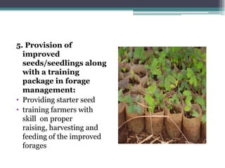 Practices of feeding dairy animals by SNV Client farmers and some recommendations for promising technologies