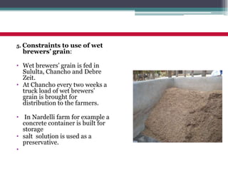 Practices of feeding dairy animals by SNV Client farmers and some recommendations for promising technologies
