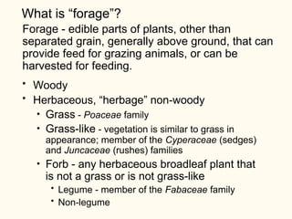 Forages515F11.ppt, forage crop descriptions | PPT