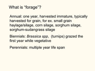 Forages515F11.ppt, forage crop descriptions | PPT