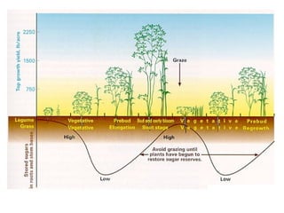 Forages515F11.ppt, forage crop descriptions | PPT