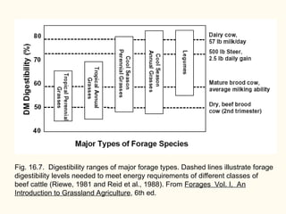 Forages515F11.ppt, forage crop descriptions | PPT