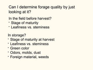 Forage Development Forages515F11.ppt, forage crop descriptions | PPT