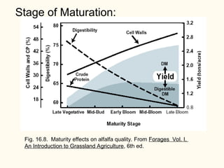 Forage Development Forages515F11.ppt, forage crop descriptions | PPT