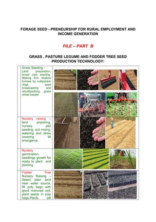 FORAGE SEED - PRENEURSHIP FOR RURAL EMPLOYMENT AND
INCOME GENERATION
FILE – PART B
GRASS , PASTURE LEGUME AND FODDER TREE SEED
PRODUCTION TECHNOLOGY:
1. 1
Grass Seeding -
Land preparation,
broad cast seeding.
Making firm shallow
furrows by cultipacker
rings, seed
broadcasting and
recultipacking, grass
chisel seeder
2.
Nursery raising –
land preparing,
nursery plot
seeding, soil mixing,
watering and straw
covering till
emergence .
3.
Nursery
germination,
seedlings growth for
ready to plant and
planting.
4.
Fodder Tree
Nursery Raising –
Select plain land
near water source,
fill poly bags with
good manured soil,
plant seeds in poly
bags.Plants will
 
