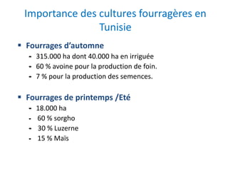 Importance des cultures fourragères en
Tunisie
 Fourrages d’automne
- 315.000 ha dont 40.000 ha en irriguée
- 60 % avoine pour la production de foin.
- 7 % pour la production des semences.
 Fourrages de printemps /Eté
- 18.000 ha
- 60 % sorgho
- 30 % Luzerne
- 15 % Maïs
 