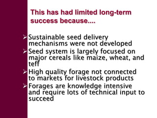 Forage seed supply in Ethiopia—Some thoughts on current status and how it might evolve