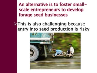 Forage seed supply in Ethiopia—Some thoughts on current status and how it might evolve